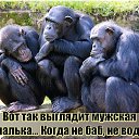 ���� Lambor, ������, 52 ���� - ��������� 3 ������ 2015 � ������ ���� ����������