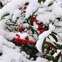 ���� ������, �����-��������� - ��������� 20 ������ 2016 � ������ ���� ����������