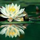 ���� Vladimir, ������, 55 ��� - ��������� 31 ������ 2016 � ������ �Cover Photos�