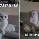 ���� ����, �������� - ��������� 7 ����� 2016 � ������ ������ ��������