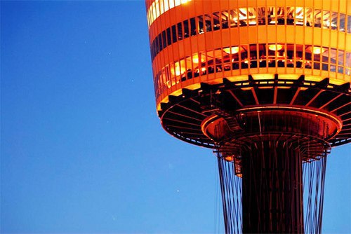 Sydney Tower Buffet - ,  - 4