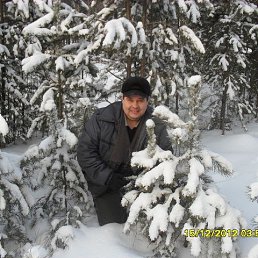 �����, �������, 55 ���