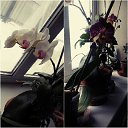 ���� Gena, ������� - ��������� 14 ������ 2016 � ������ ���� ����������
