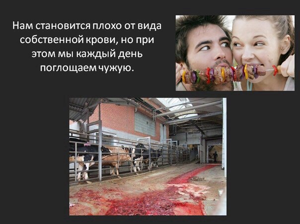 �������� � ������, ����� �������� �� ������ ����� ����� � �����, � ��� ������� - �������. ����� ��� ... - 4