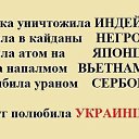 ���� Vladimir, �������� - ��������� 21 ������� 2016 � ������ �������