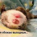 ���� �������, ����, 56 ��� - ��������� 18 ������� 2015 � ������ ������ ��������