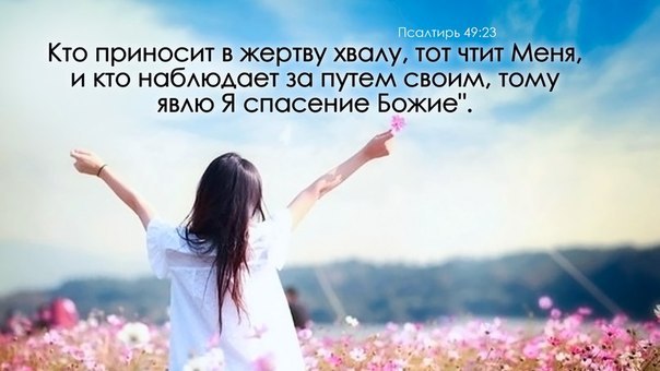 �������� ���� ����������� - 9 ������ 2016 � 10:22