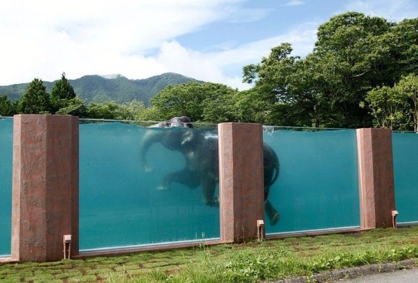   - , .#@travel.blog