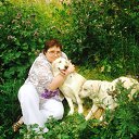 ���� ������� ���, ������ - ��������� 6 ������ 2015 � ������ ���� ����������