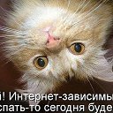 ���� ����� �, ������� - ��������� 24 ������ 2015 � ������ ������