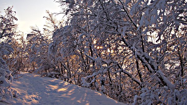 ��� - 10 ������ 2016 � 15:04