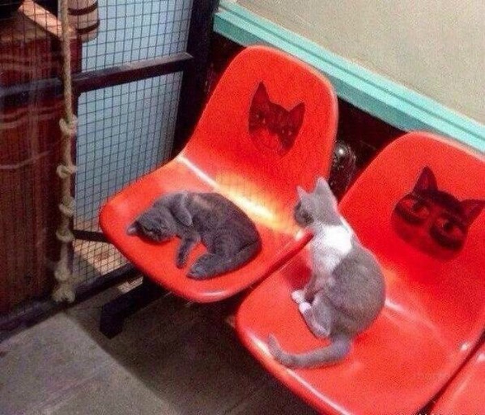 )))