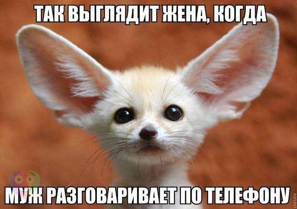   :D - 27  2016  20:13