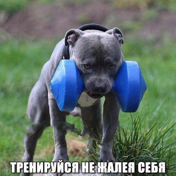       !))