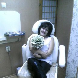 ���� ��������, ���������, 58 ��� - ��������� 8 ������ 2016