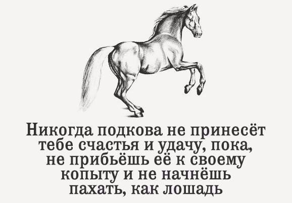 Art & Fun - 19  2015  08:34