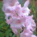 ���� ����, ������ - ��������� 29 ������� 2015 � ������ ���� ����������