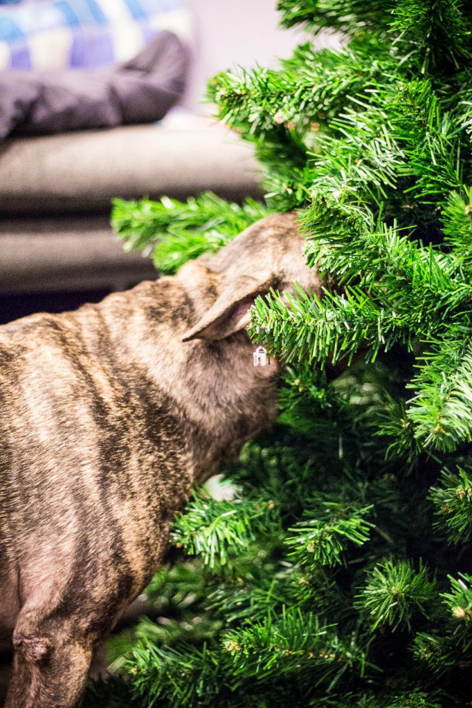 По итогам КОНКУРСА