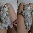 ���� ����, �����, 38 ��� - ��������� 26 �������� 2015 � ������ �������