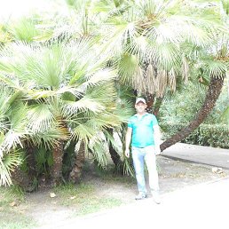 ���� ������, ����������, 37 ��� - ��������� 3 ������� 2015