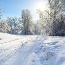 ���� ������, �������, 53 ���� - ��������� 8 ����� 2016 � ������ ������ ��������