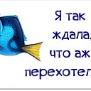  Ledi, , 44  -  31  2016    