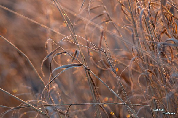 ph: �������� ��������� https://vk.com/sves87 - 3