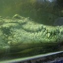���� ���������, �����, 52 ���� - ��������� 9 ������ 2016 � ������ ���� ����������