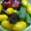 ���� �����, ������ - ��������� 1 ����� 2016 � ������ ���� ����������