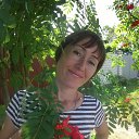 ���� �������, ����������, 52 ���� - ��������� 24 ������� 2015 � ������ ���� ����������