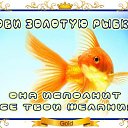���� ����))), ������������ - ��������� 16 ������ 2015 � ������ �������� ��������