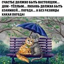 ���� ����, �������, 53 ���� - ��������� 23 ������ 2015 � ������ ������ ��������