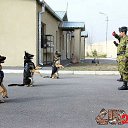 ���� ������, �����-���������, 58 ��� - ��������� 4 ������� 2016 � ������ ���� ����������