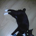 ���� ������, �����������, 55 ��� - ��������� 4 ������� 2015 � ������ ������ ��������