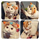 ���� ���� ���, �����-��������� - ��������� 11 ������ 2016 � ������ ������ ��������