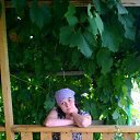 ���� �������, ���������, 42 ���� - ��������� 1 ������� 2016 � ������ ���� ����������