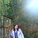 ���� ������, ����������� - ��������� 5 ������� 2015 � ������ ���� ����������