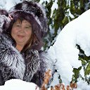 ���� ��������, ������ - ��������� 28 ������ 2015 � ������ ���� ����������