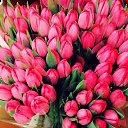 ���� Svetlana, ������, 63 ���� - ��������� 29 ������ 2015 � ������ ������ ��������