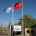 ���� ���� �������� ����, ������, 42 ���� - ��������� 29 �������� 2015 � ������ ����� �� ����!!!!!!�
