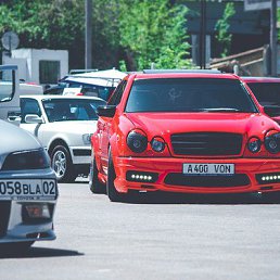 ���� �����, ������� ��������, 53 ���� - ��������� 12 ������� 2015