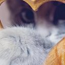 ���� Soley, ������ - ��������� 29 ������� 2015 � ������ ������ ��������