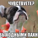 ���� ���������, ������� - ��������� 11 ������� 2015 � ������ ������ ��������