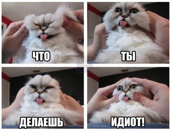 �������� ���� - 16 ������ 2016 � 16:35