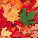 ���� ����, ������, 40 ��� - ��������� 27 ������ 2015