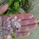 ���� ������, �����-��������� - ��������� 2 ������� 2015 � ������ ���� ����������