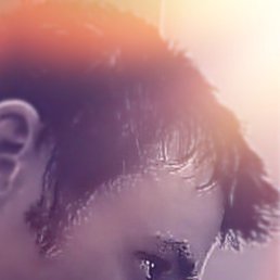 ���� ���*, ������, 44 ���� - ��������� 8 ������ 2015