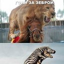 ���� ������, ������-���, 62 ���� - ��������� 18 ������� 2015 � ������ ������ ��������