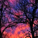 ���� ����/������, ������ �����, 73 ���� - ��������� 31 ������� 2015 � ������ ��������