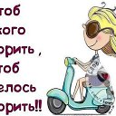 ���� ��������, ����� - ��������� 23 ������� 2015 � ������ ������ ��������